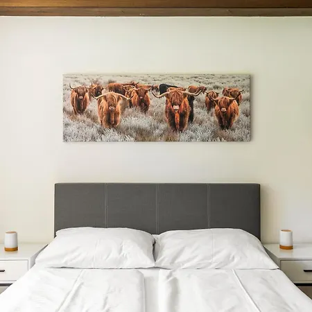 Homy Montavista - 300m Zur Golmerbahn Daire *