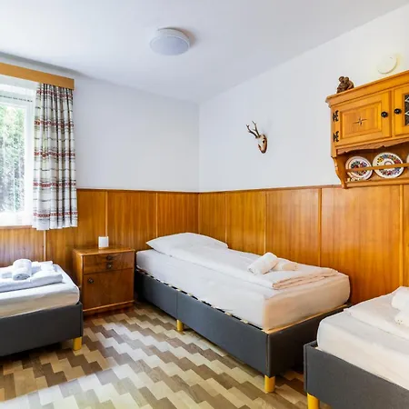 Homy Montavista - 300m Zur Golmerbahn Daire Vandans